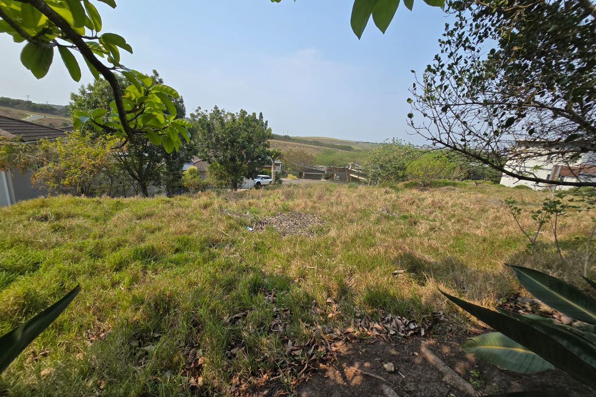 Exclusive 800sqm Vacant Stand in Palm Lakes Estate - Photo 2