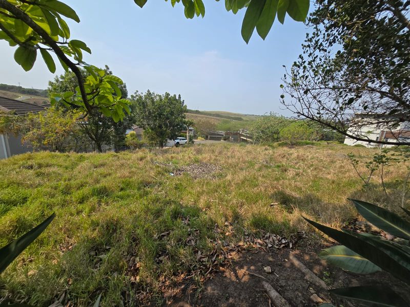 Exclusive 800sqm Vacant Stand in Palm Lakes Estate - Photo 2