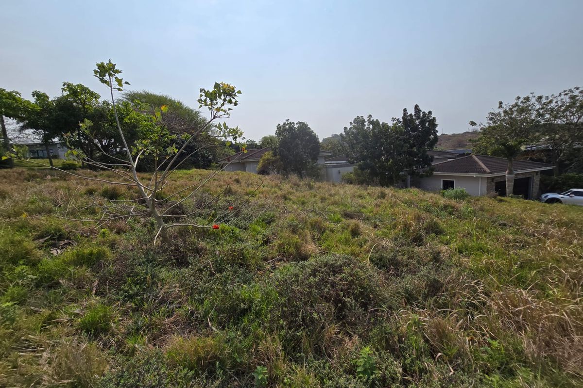 Exclusive 800sqm Vacant Stand in Palm Lakes Estate - Photo 5