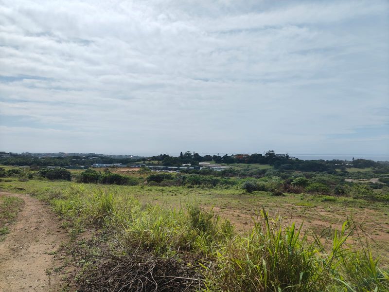 Prime Salt Rock City Development Land - Photo 10