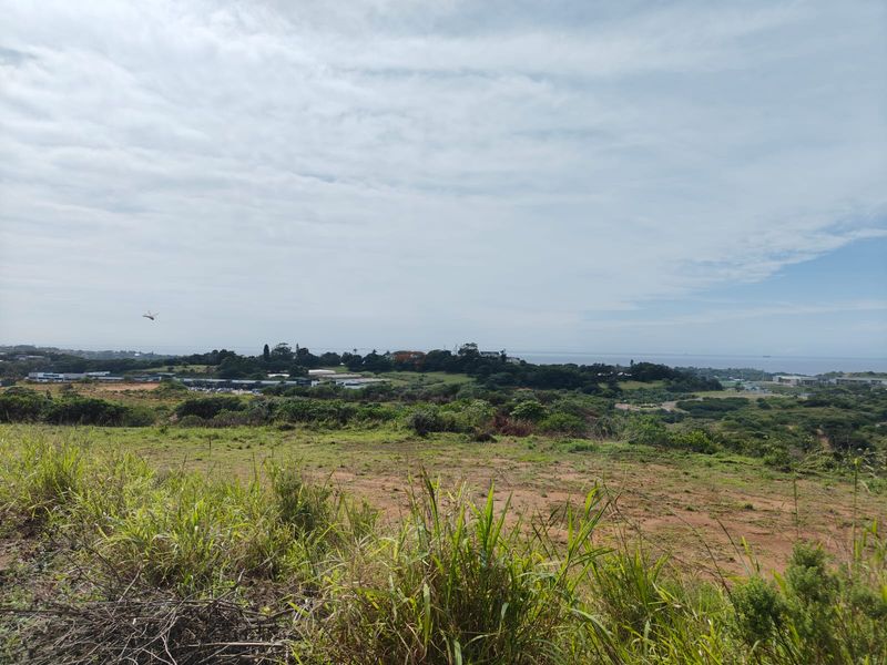 Prime Salt Rock City Development Land - Photo 7