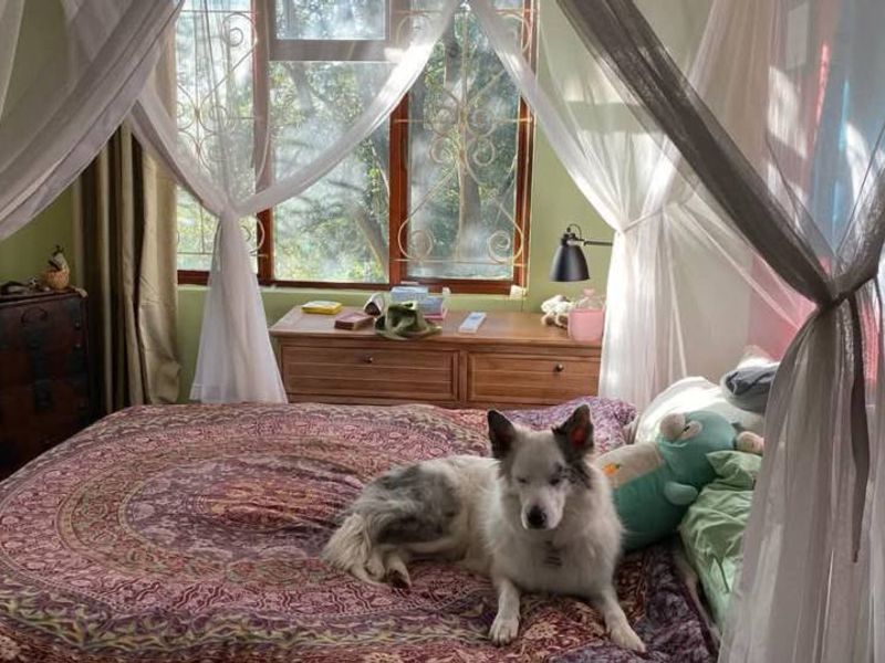 A cozy bedroom featuring a large window with decorative security bars, providing natural light and a view of the surrounding greenery.