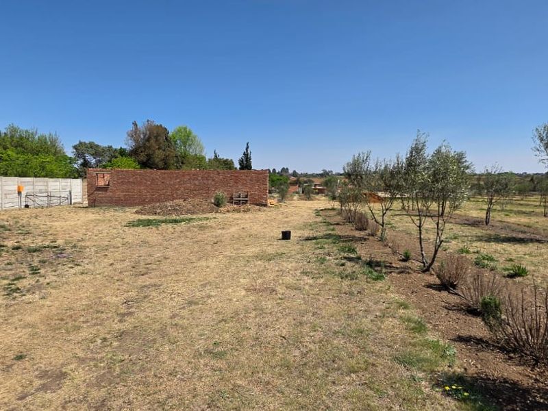 Olive & Lavender Lifestyle Farm – 2.14 Hectares - Photo 10