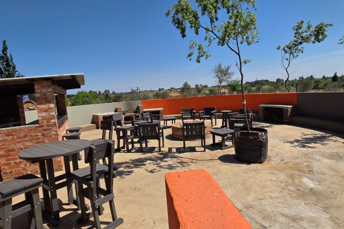 Olive & Lavender Lifestyle Farm – 2.14 Hectares - Photo 5