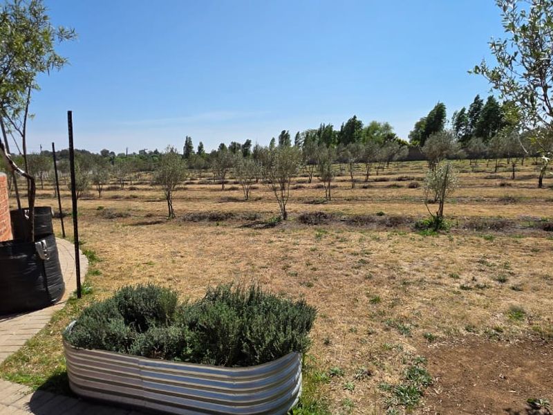 Olive & Lavender Lifestyle Farm – 2.14 Hectares - Photo 9