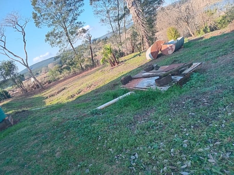 Farm For Sale In Greytown - Photo 6