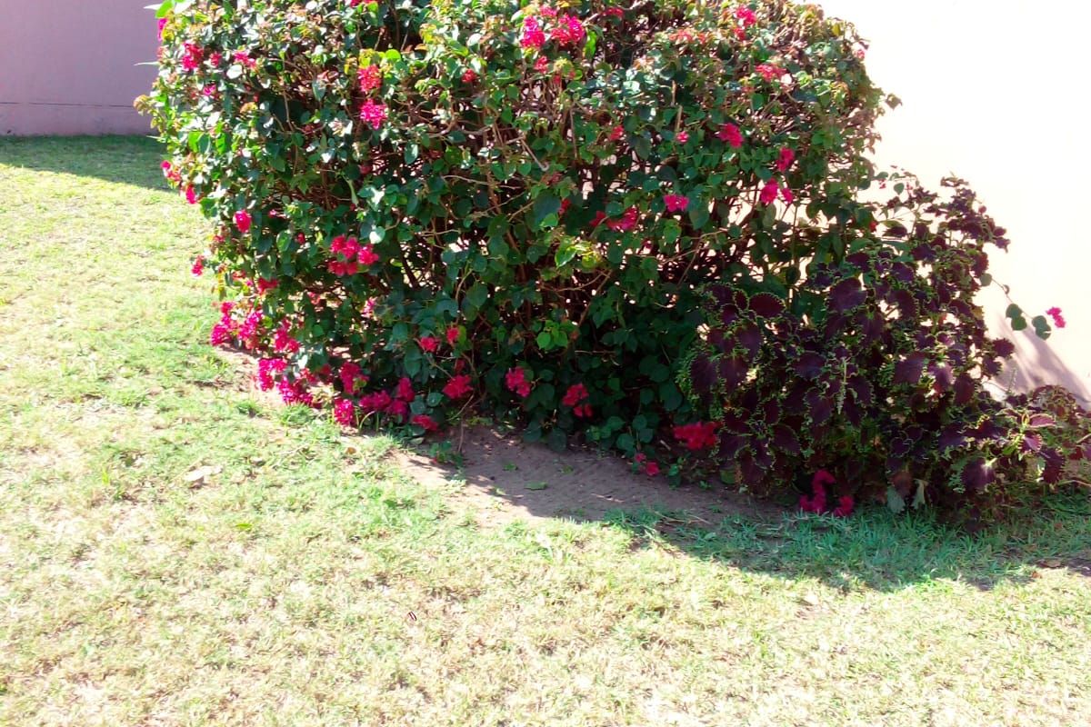 Farm For Sale In Greytown - Photo 5