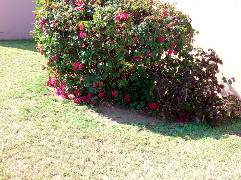 Farm For Sale In Greytown - Photo 5