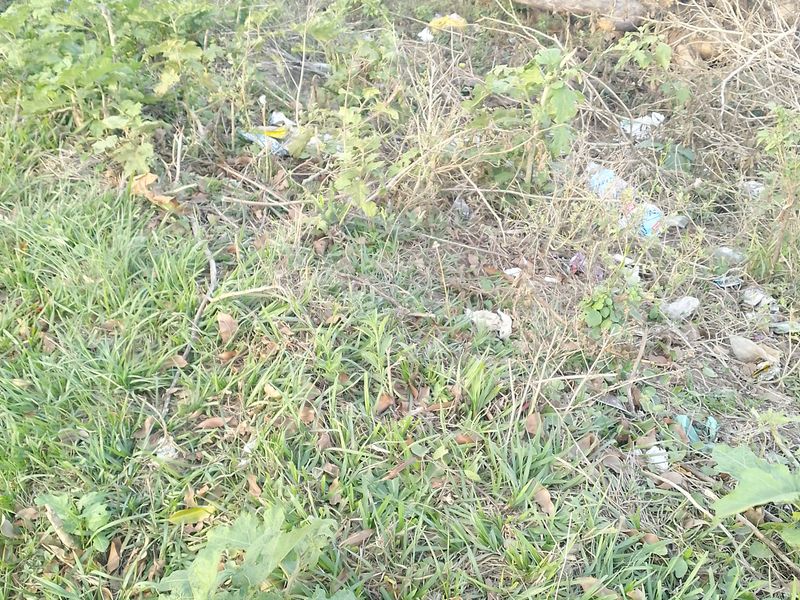 Vacant Land Residential For Sale In Empangeni - Photo 2