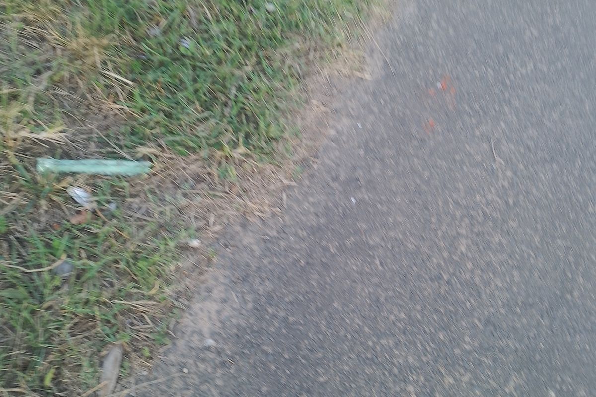 Vacant Land Residential For Sale In Empangeni - Photo 3