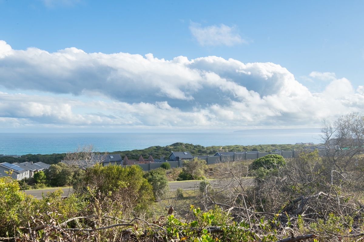 One of just a few open stands where you can build your dream home - Photo 3