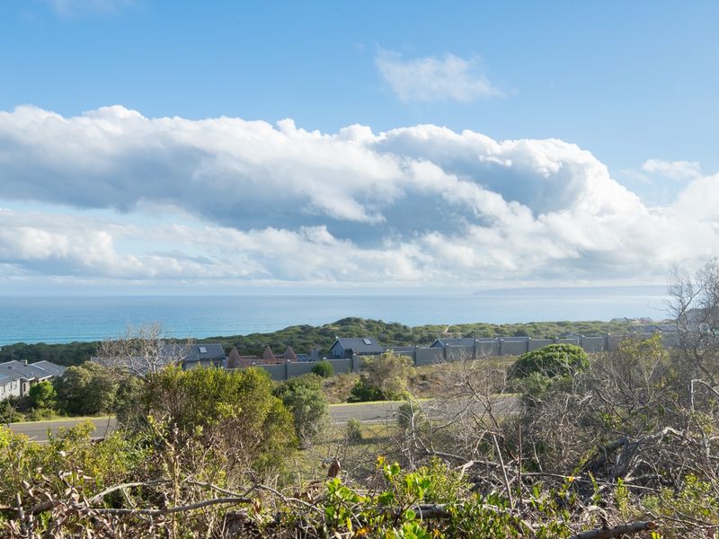 One of just a few open stands where you can build your dream home - Photo 3