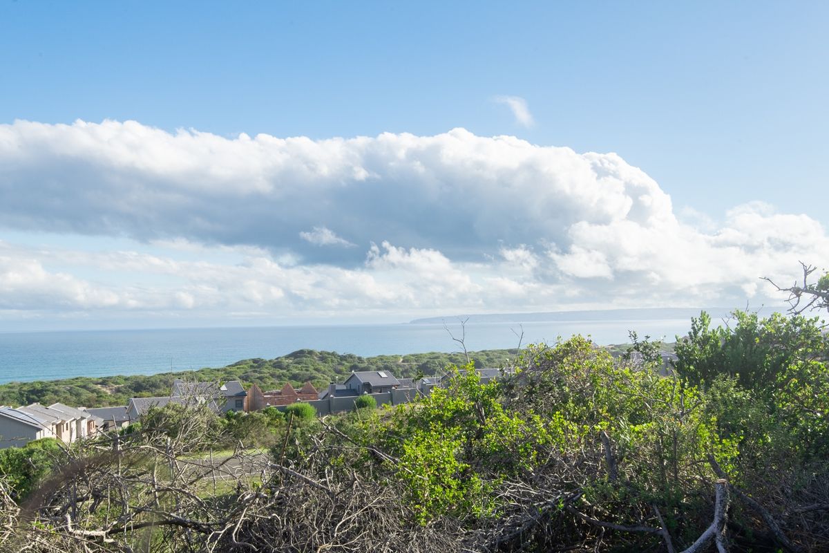 One of just a few open stands where you can build your dream home - Photo 4
