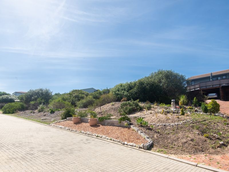 One of just a few open stands where you can build your dream home - Photo 10