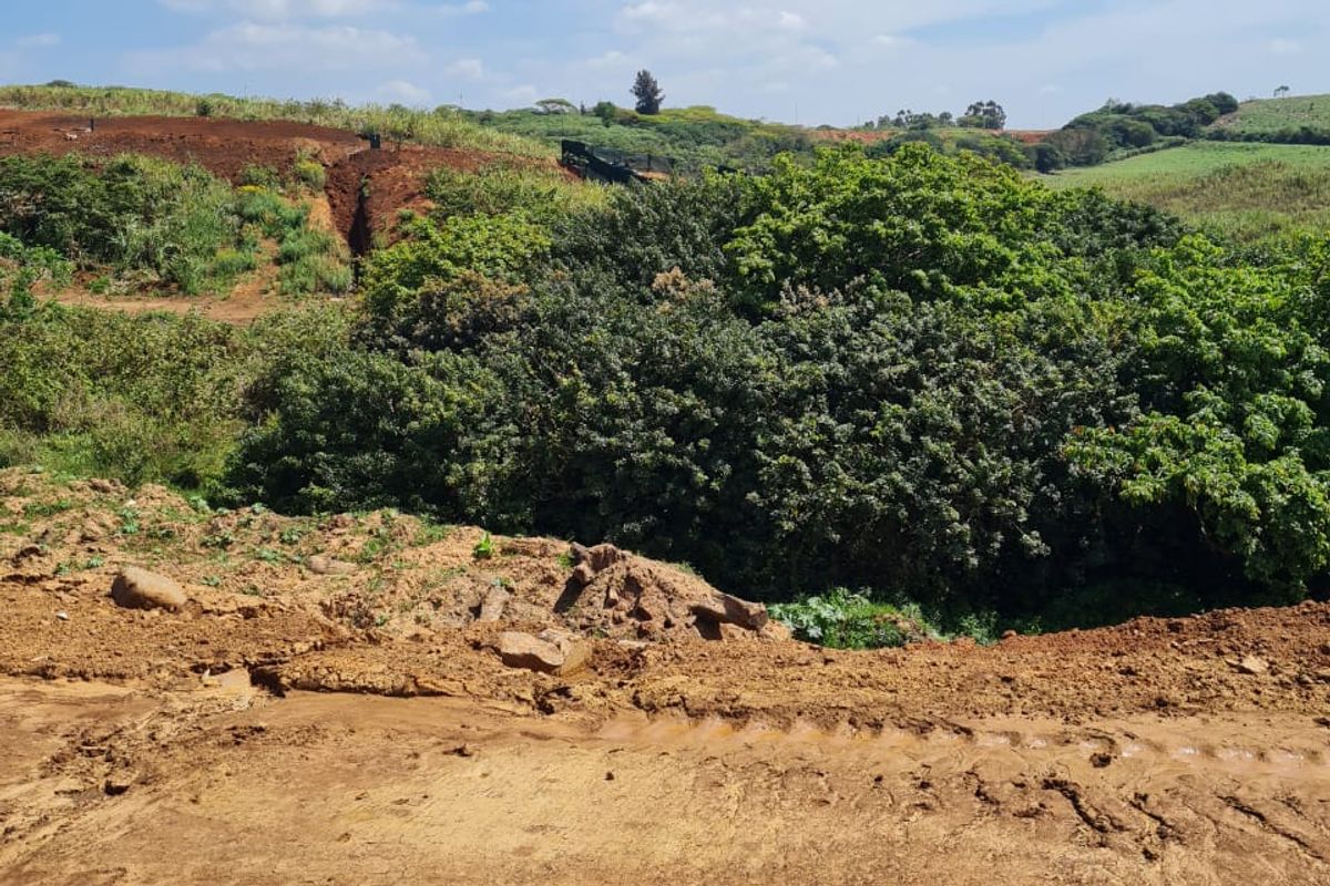A view of the natural landscape and vegetation on the vacant residential property.