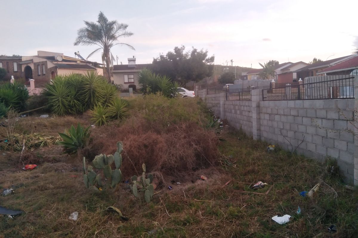 Large Plot in Desired Location - Photo 3