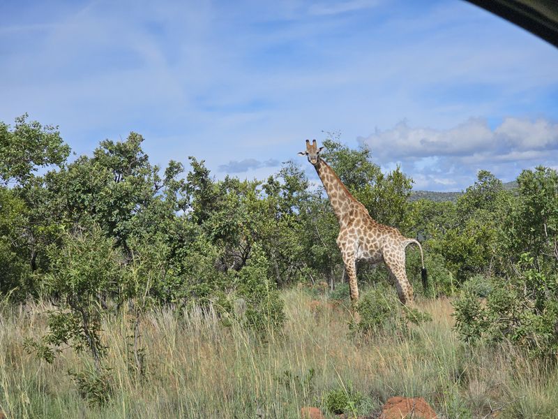 Stand for sale in Thaba Moriri, Bela Bela - Photo 6