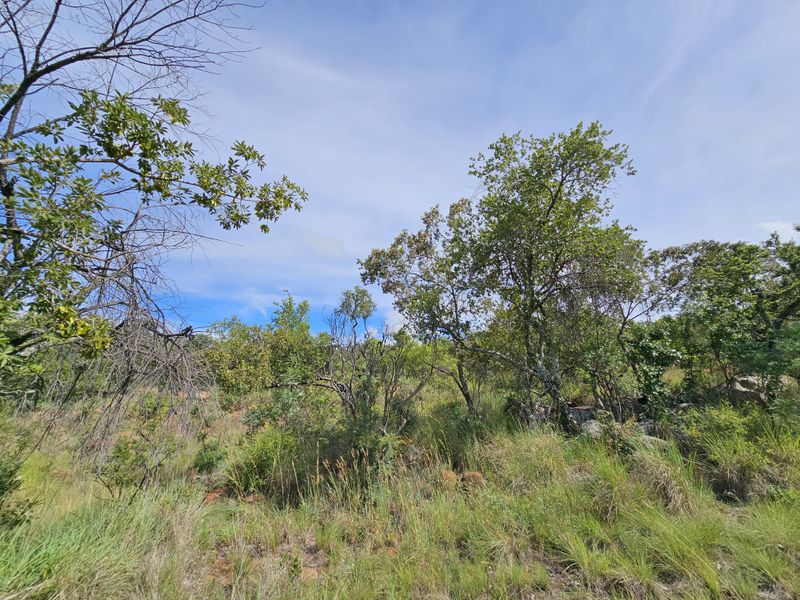 Stand for sale in Thaba Moriri, Bela Bela - Photo 8