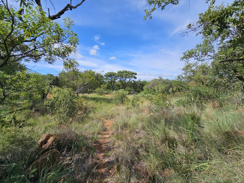 Stand for sale in Thaba Moriri, Bela Bela - Photo 10
