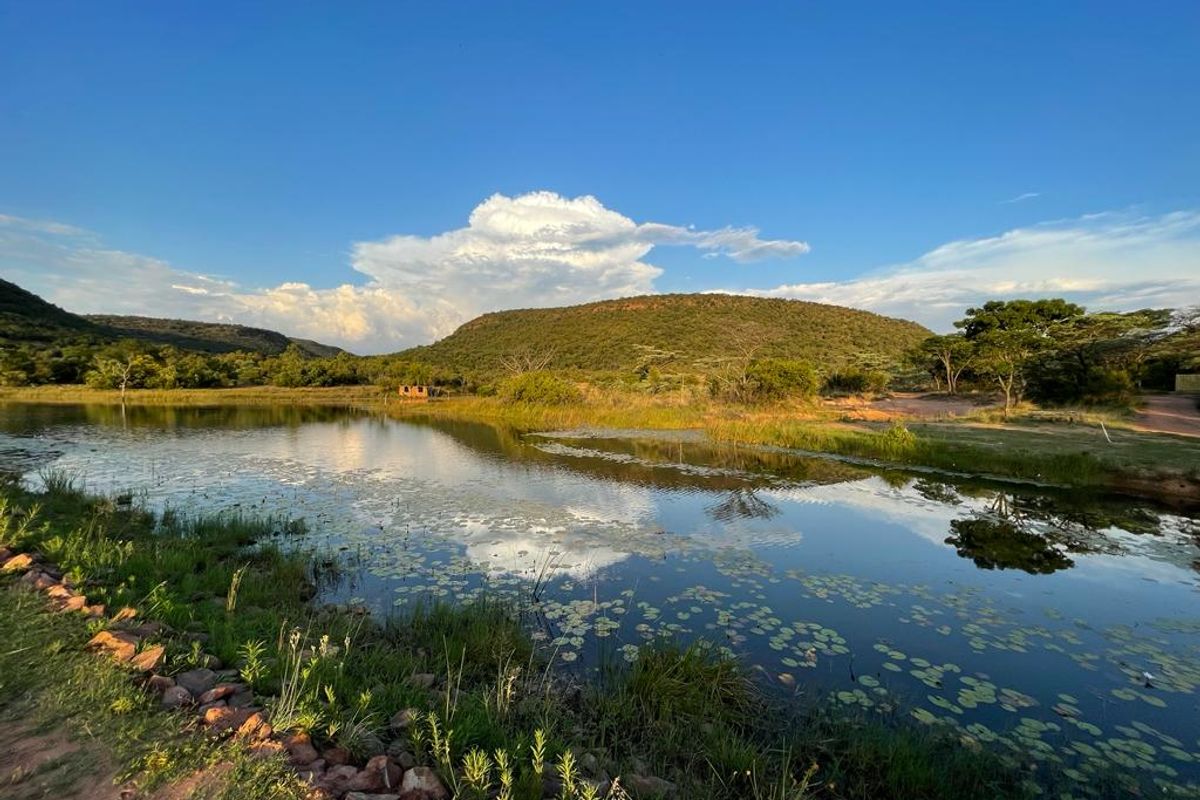 12.5% (6.5 weeks per annum) share for sale in Marulani, Bela Bela - Photo 3