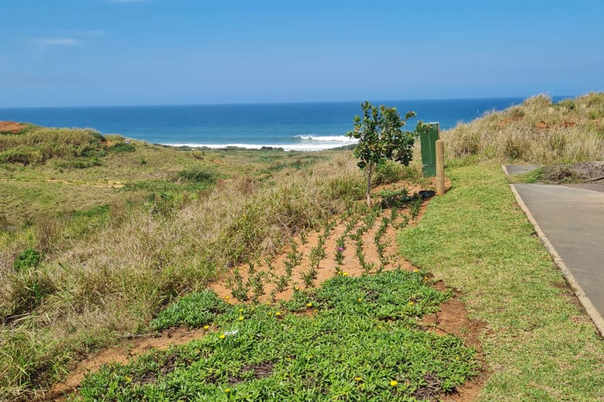 A scenic view of the coastline and ocean from a paved pathway, showcasing the natural landscape and coastal vegetation.