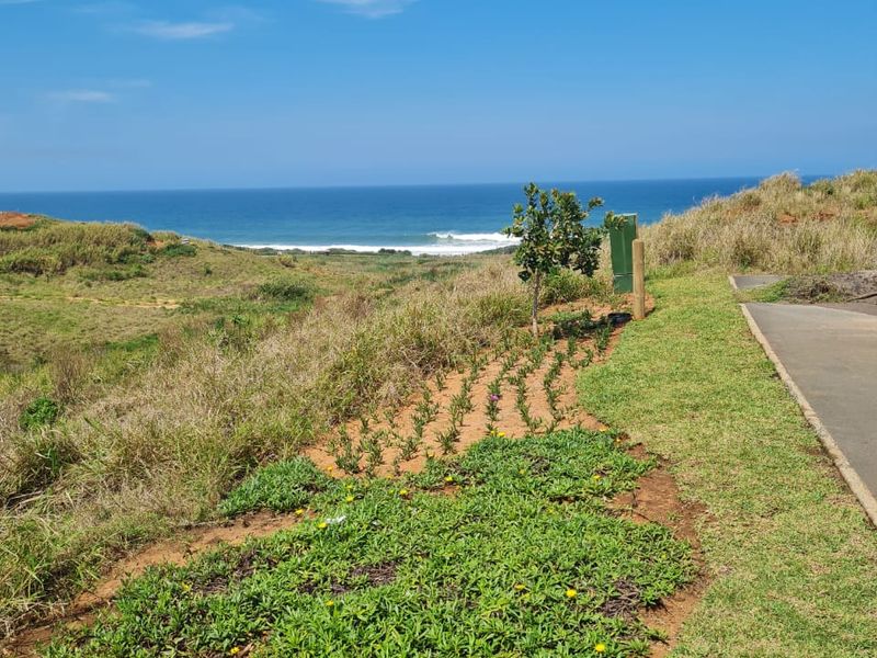A scenic view of the coastline and ocean from a paved pathway, showcasing the natural landscape and coastal vegetation.