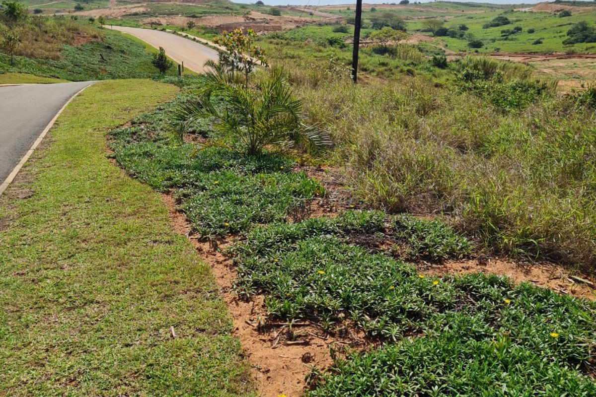 A view of the paved access road and surrounding vacant residential land with established verge landscaping and utility infrastructure.