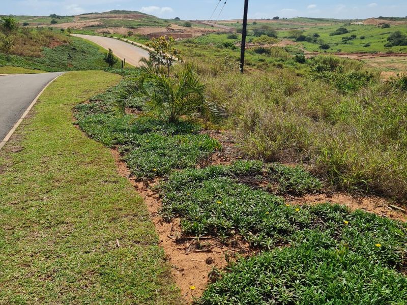 A view of the paved access road and surrounding vacant residential land with established verge landscaping and utility infrastructure.