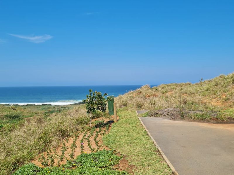 A scenic view of the coastline from a paved residential road, showcasing the natural landscape and ocean horizon.