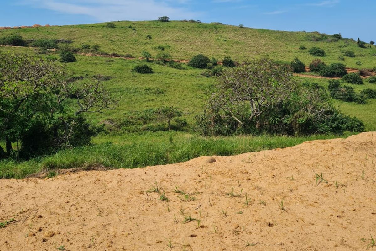Seaton Estate: Exclusive Coastal Living on the KZN North Coast - Photo 3