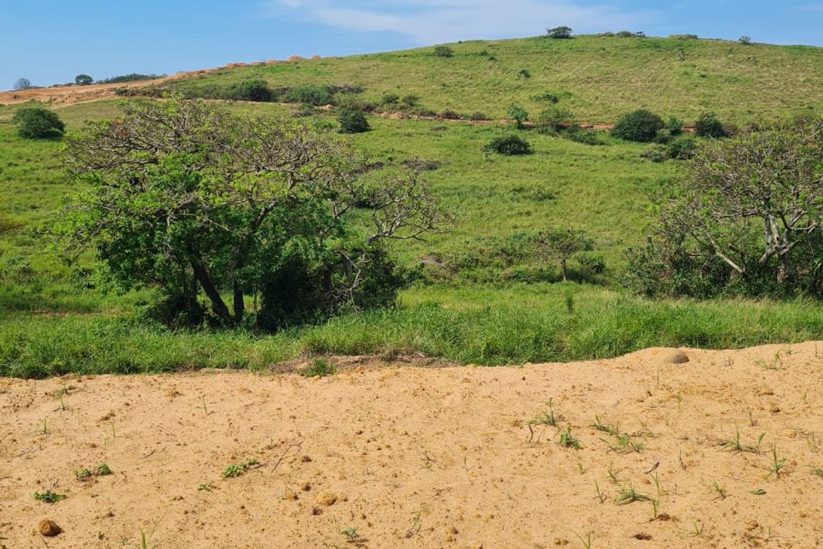 Seaton Estate: Exclusive Coastal Living on the KZN North Coast - Photo 5