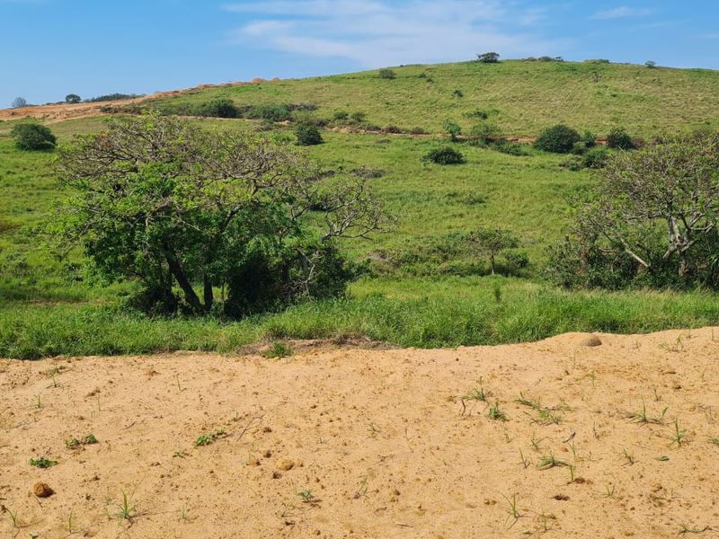 Seaton Estate: Exclusive Coastal Living on the KZN North Coast - Photo 5