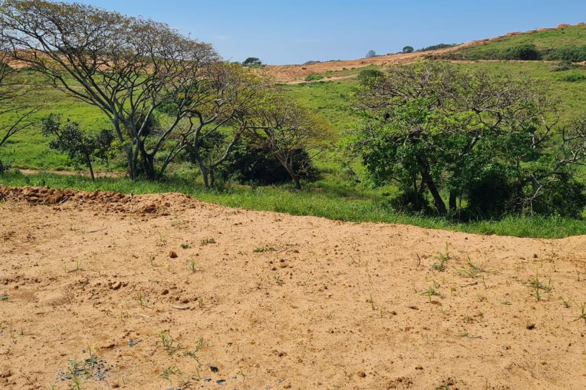 Seaton Estate: Exclusive Coastal Living on the KZN North Coast - Photo 4