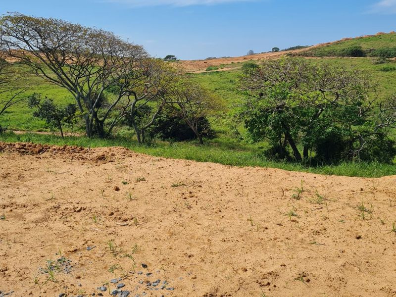 Seaton Estate: Exclusive Coastal Living on the KZN North Coast - Photo 4