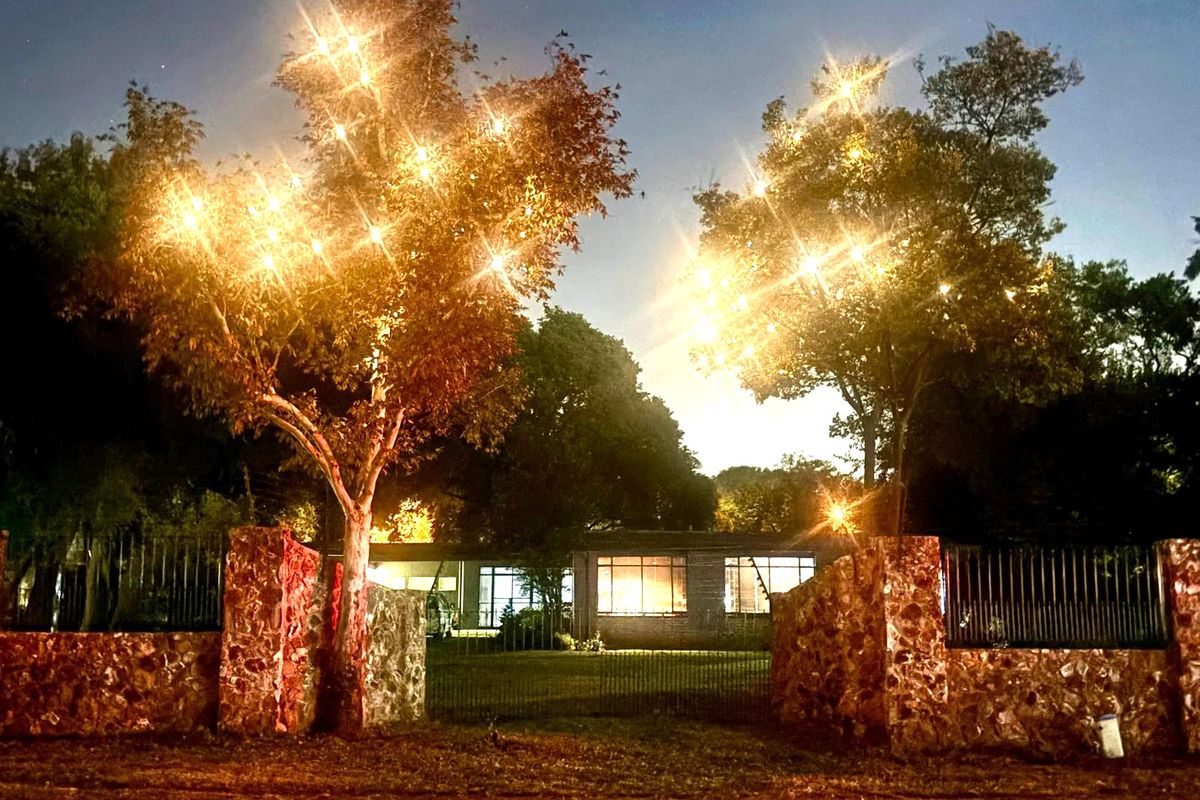 Your Dream Home in Irene - Photo 2