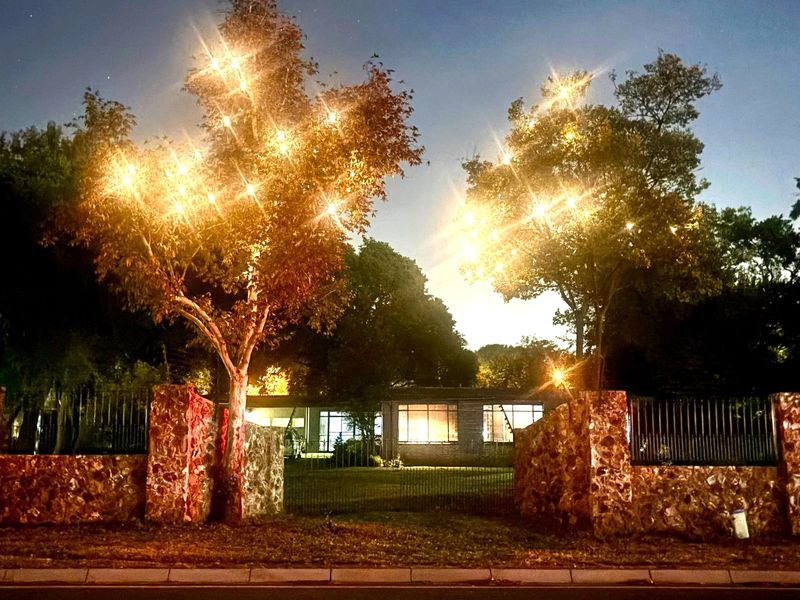 Your Dream Home in Irene - Photo 2