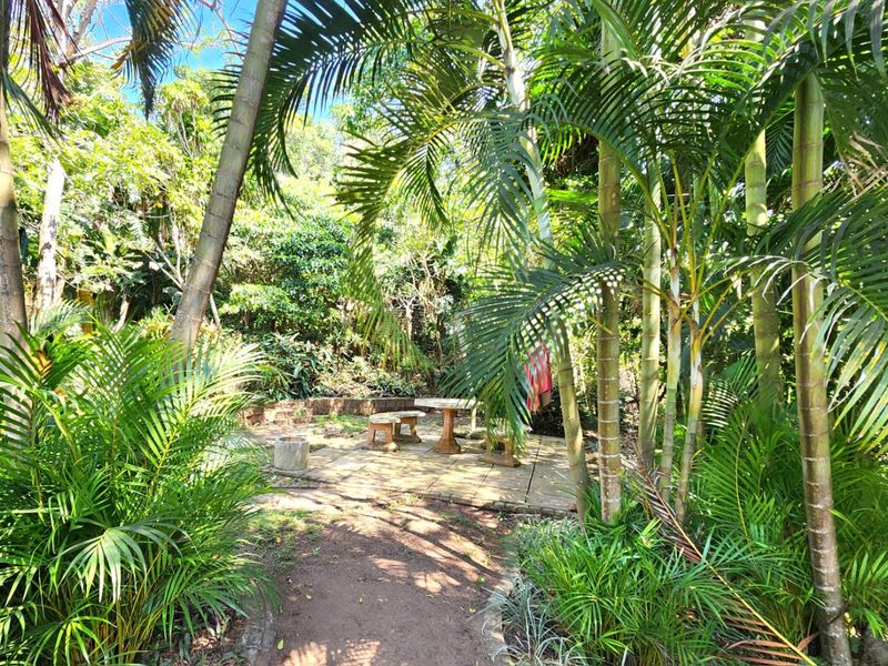 A lush, tropical garden setting featuring a paved seating area surrounded by mature palm trees and dense foliage.