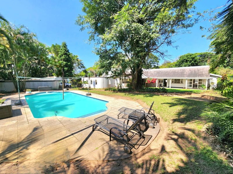 Smallholding Macadamia Nut Farm with Panoramic Distant Sea Views – Melville, Port Shepstone - Photo 9