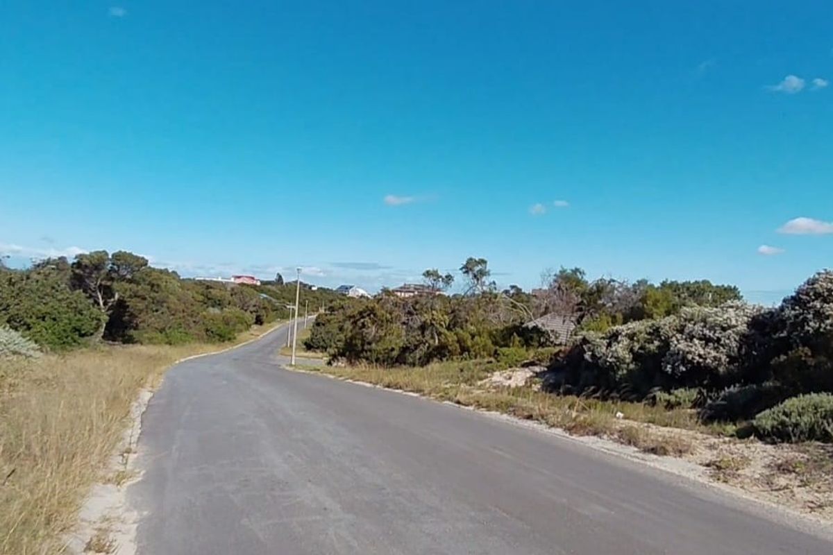 A view of the asphalt street leading through a natural, undeveloped residential area with surrounding coastal vegetation.