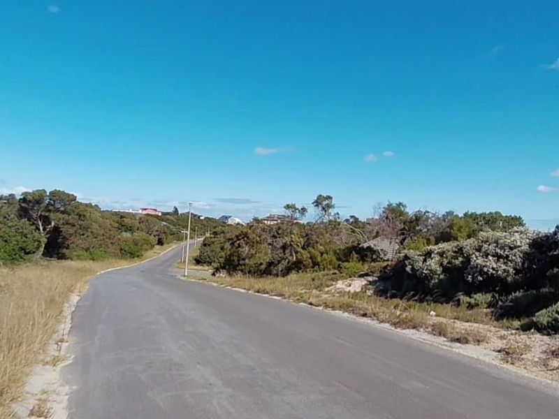 A view of the asphalt street leading through a natural, undeveloped residential area with surrounding coastal vegetation.