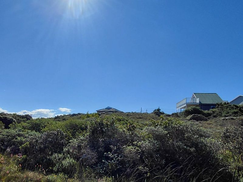 A view of the vacant residential land featuring natural coastal vegetation and a sloped landscape with neighboring properties visible in the distance.