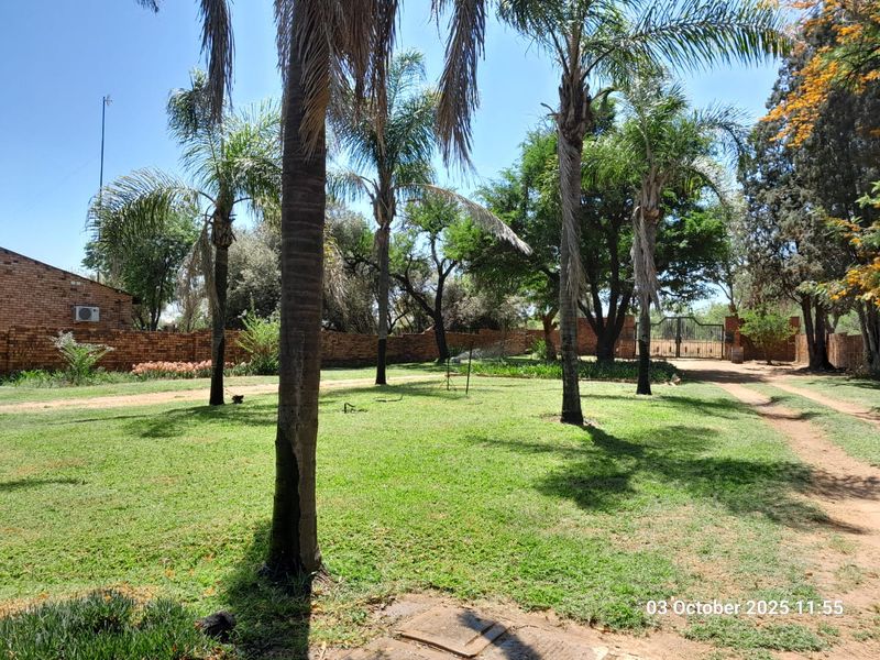 A spacious, well-maintained garden area featuring mature palm trees, a brick boundary wall, and a gated entrance on a farm property.