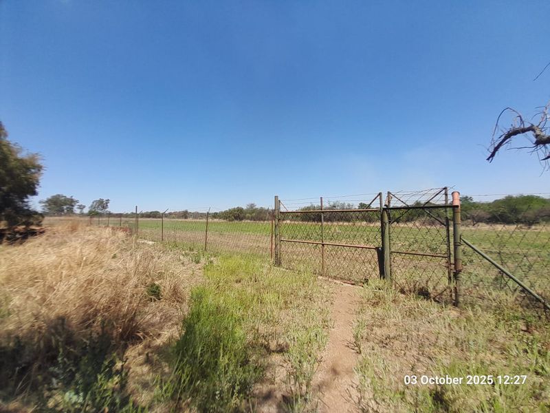 A view of the farm perimeter featuring a wire mesh fence and a metal gate, marking the boundary of the agricultural land.