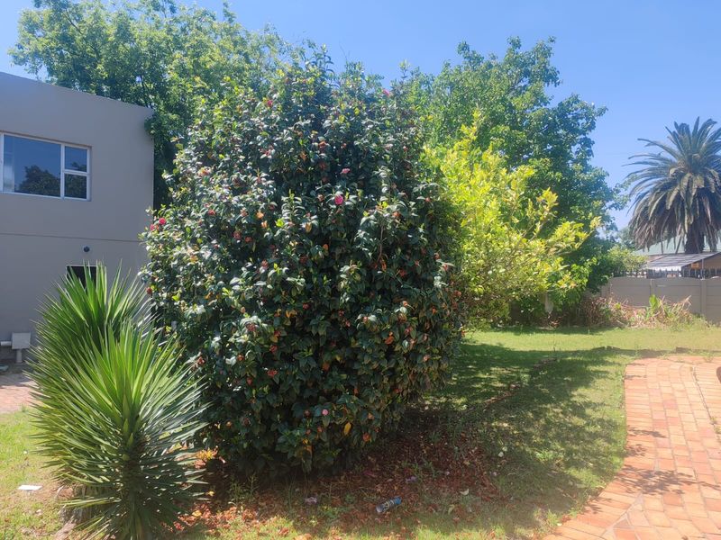 3 Bedroom House with 2 Bachelor Flats and Pool in Dalview NEEDS TLC - Photo 6