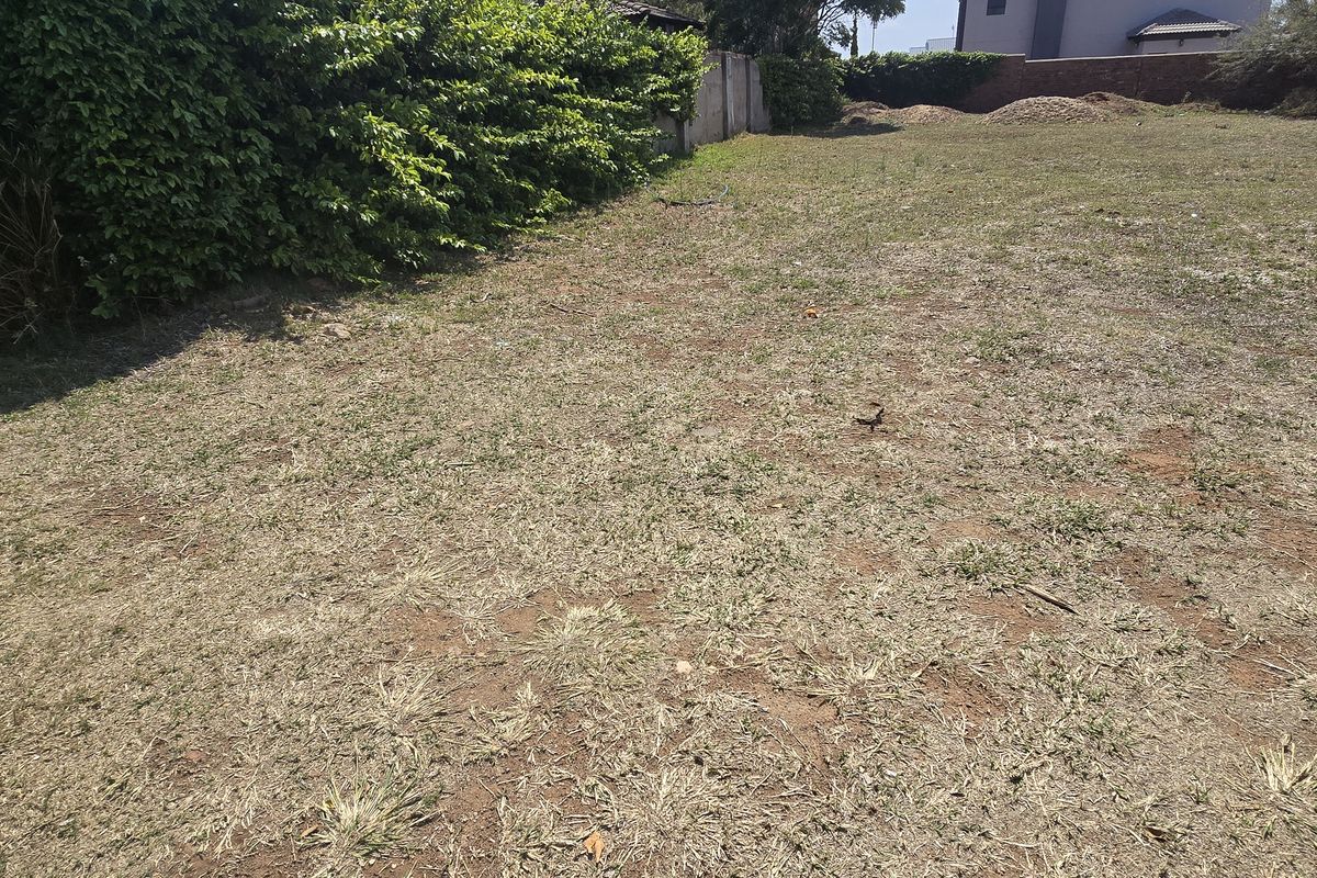 A view of the vacant residential land featuring established perimeter hedging and boundary walls, providing a clear space for future development.