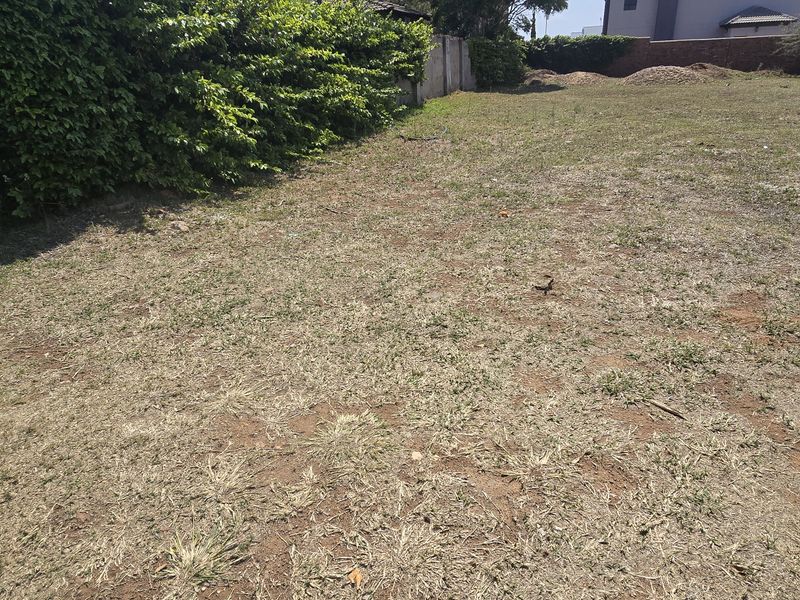 A view of the vacant residential land featuring established perimeter hedging and boundary walls, providing a clear space for future development.