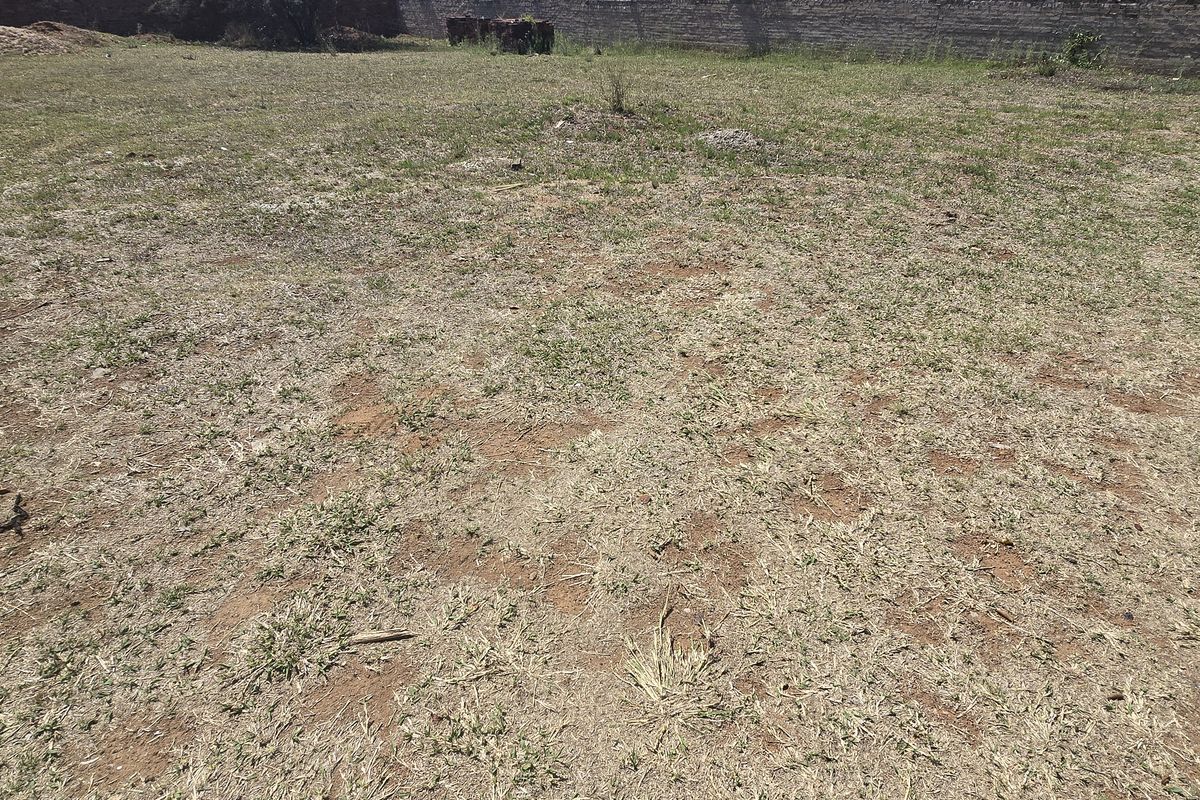 A view of a vacant residential plot featuring a level grassed area enclosed by a perimeter boundary wall.