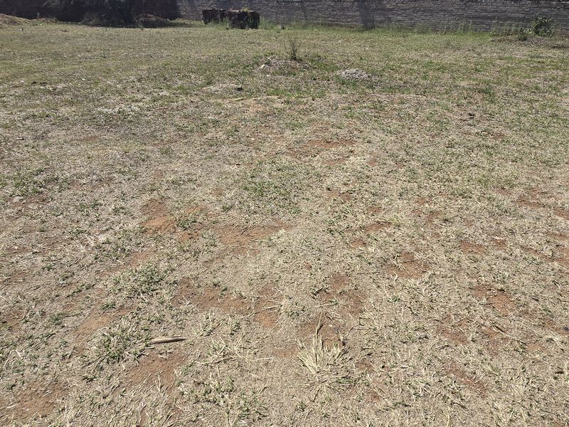 A view of a vacant residential plot featuring a level grassed area enclosed by a perimeter boundary wall.