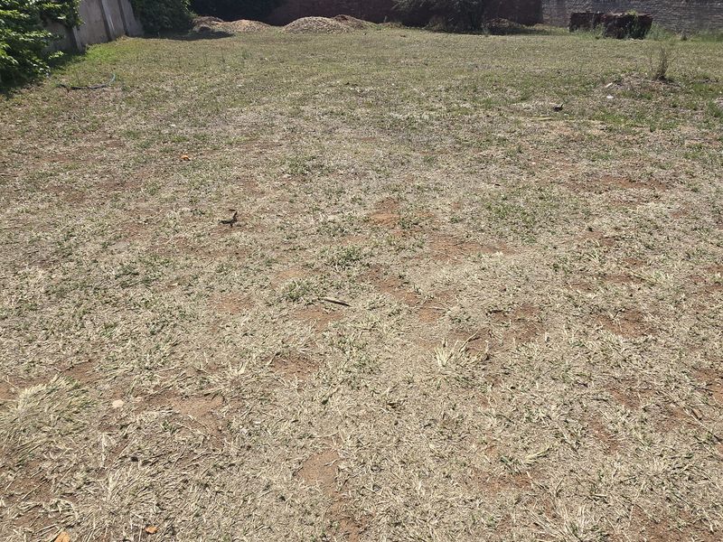 A vacant residential plot featuring level ground, perimeter boundary walls, and established greenery along the side.