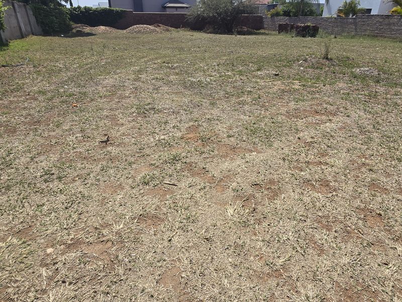 A vacant residential plot featuring level ground, perimeter boundary walls, and established greenery, offering a clear space ready for development.